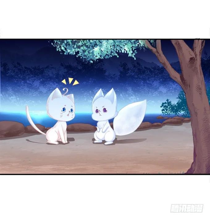《猫妖的诱惑》分崩离析 第21页