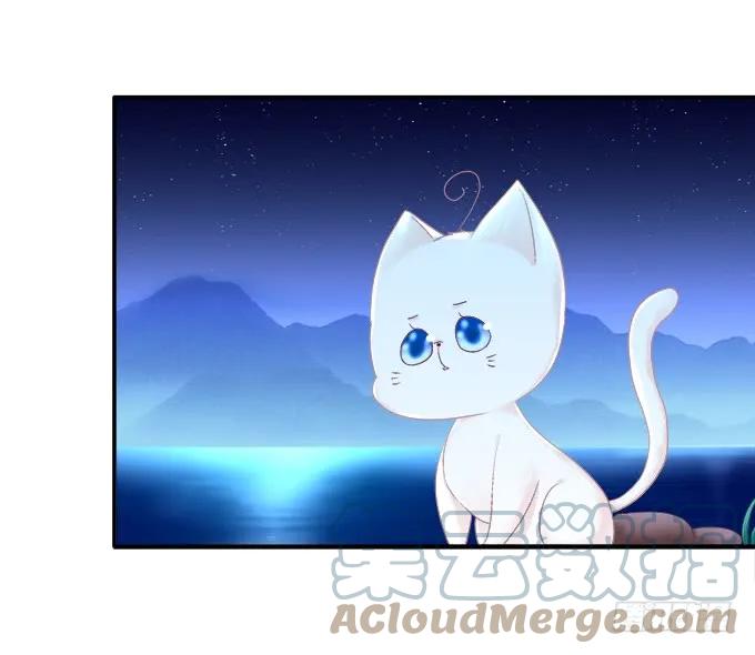 《猫妖的诱惑》东窗事发 第6页
