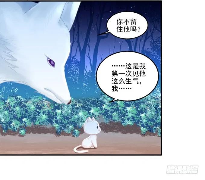 《猫妖的诱惑》东窗事发 第13页