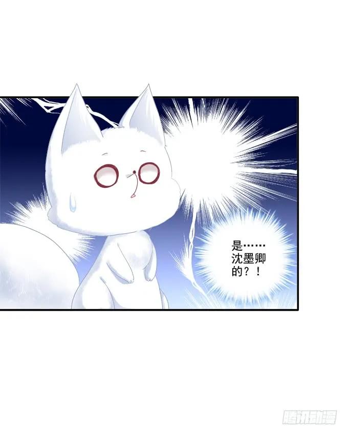 《猫妖的诱惑》走入陷阱 第42页