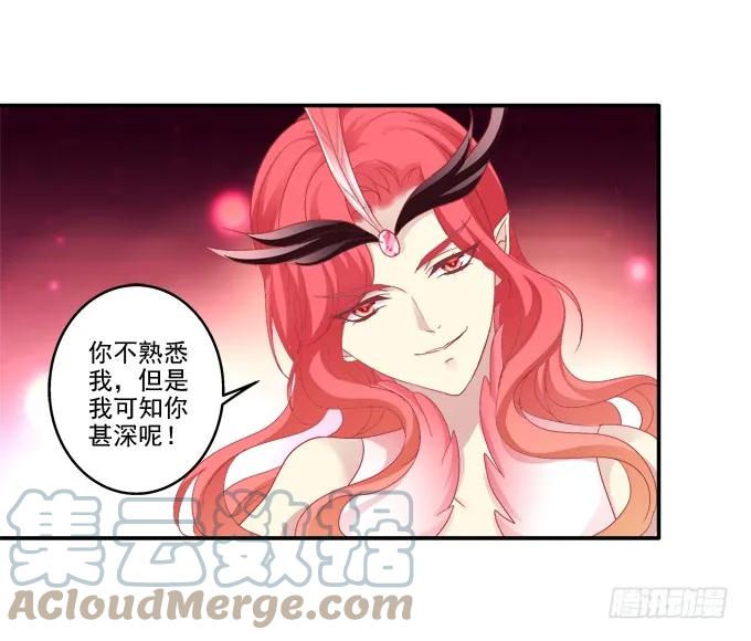 《猫妖的诱惑》朱雀惑人 第36页