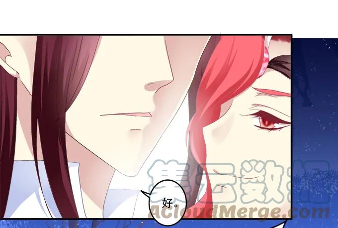 《猫妖的诱惑》生死赌约 第28页