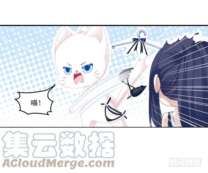 《猫妖的诱惑》情人节甜蜜番外上 第22页