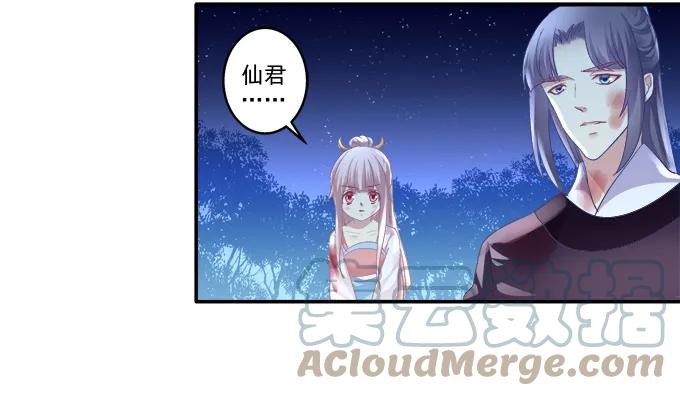 《猫妖的诱惑》跟我走吧 第37页