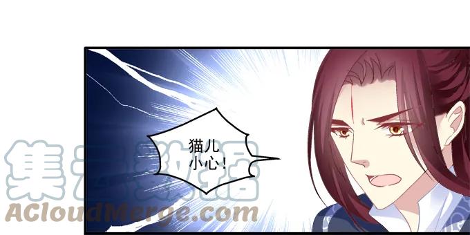 《猫妖的诱惑》拨云见日 第34页