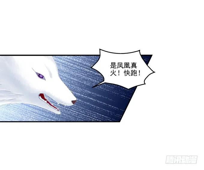 《猫妖的诱惑》猫咪发飙 第23页
