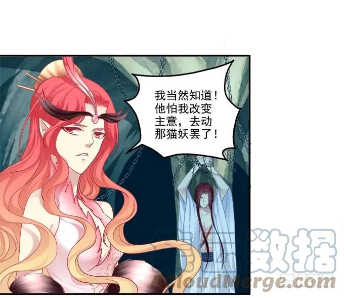 《猫妖的诱惑》朱雀诱惑 第16页