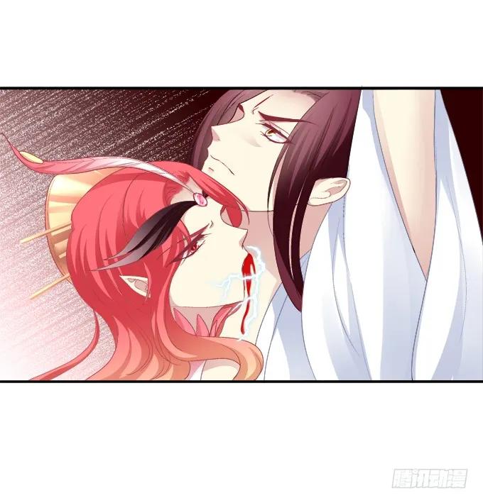 《猫妖的诱惑》朱雀诱惑 第6页