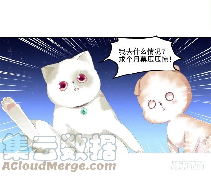 《猫妖的诱惑》迷之救兵 第49页