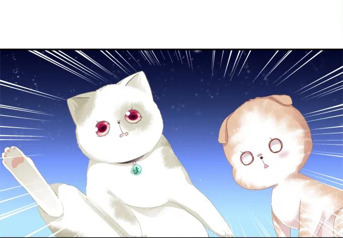 《猫妖的诱惑》迷之救兵 第44页