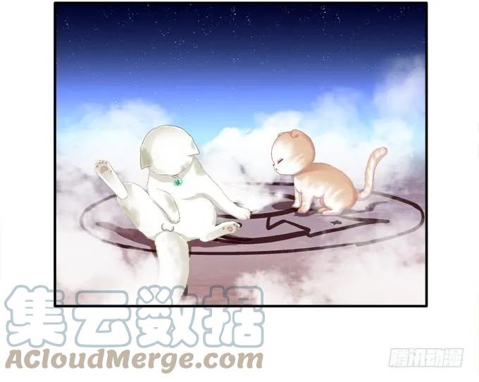 《猫妖的诱惑》迷之救兵 第43页