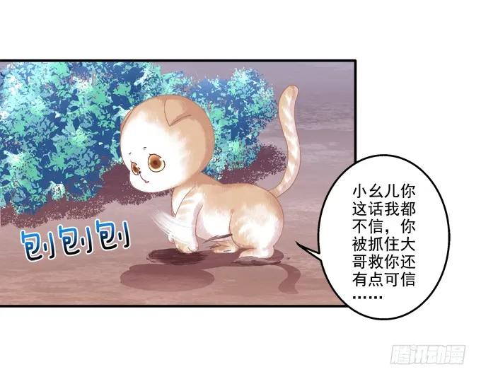 《猫妖的诱惑》英猫救美！ 第12页