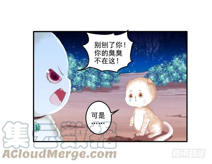 《猫妖的诱惑》英猫救美！ 第43页