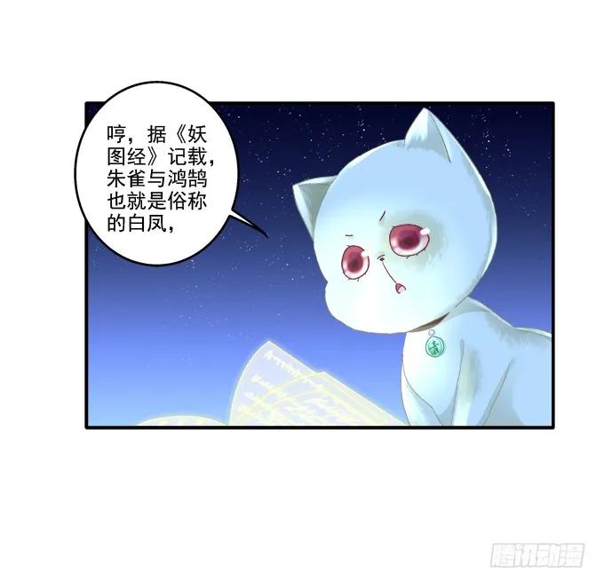 《猫妖的诱惑》英猫救美！ 第29页