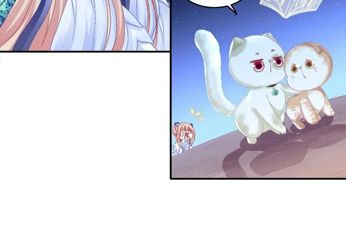 《猫妖的诱惑》英猫救美！ 第27页