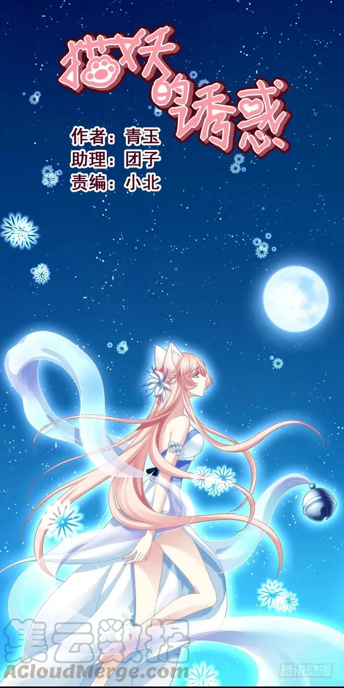 《猫妖的诱惑》情敌的报复 第1页
