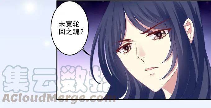《猫妖的诱惑》情敌的报复 第37页