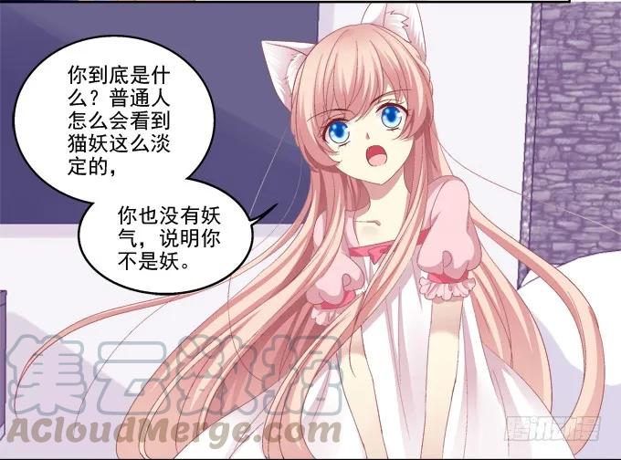 《猫妖的诱惑》情敌的报复 第9页