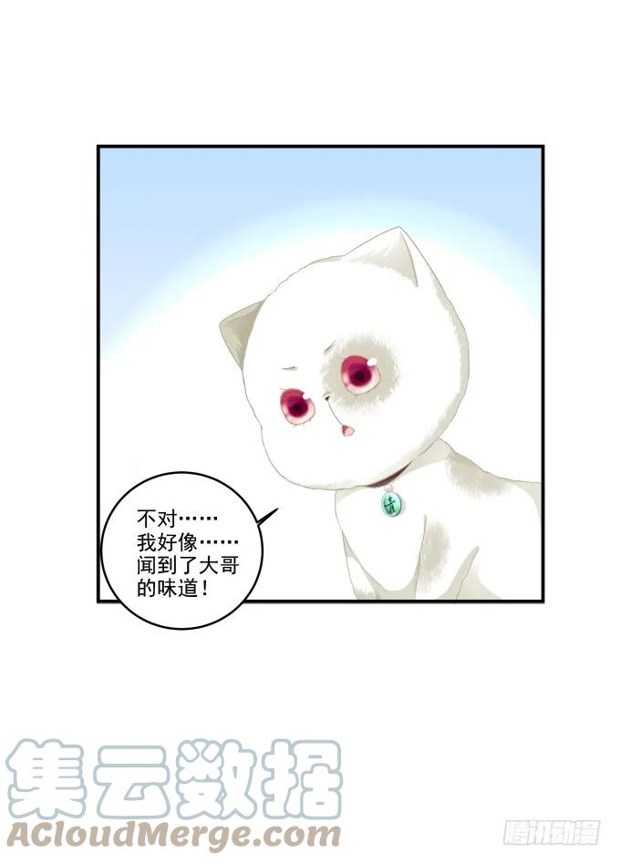 《猫妖的诱惑》乔装潜入 第28页