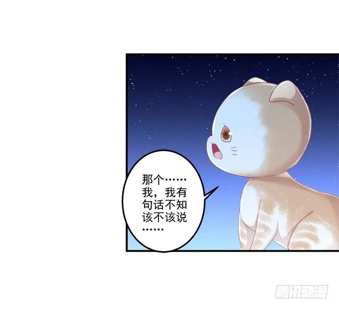 《猫妖的诱惑》乔装潜入 第14页