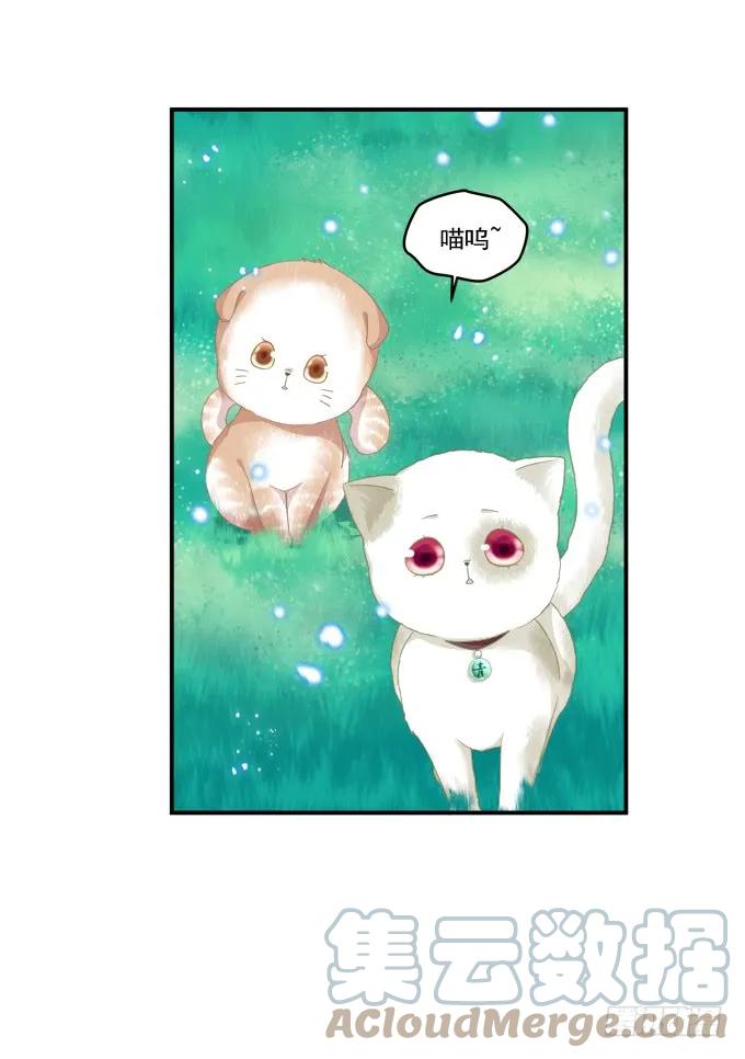 《猫妖的诱惑》乔装潜入 第19页