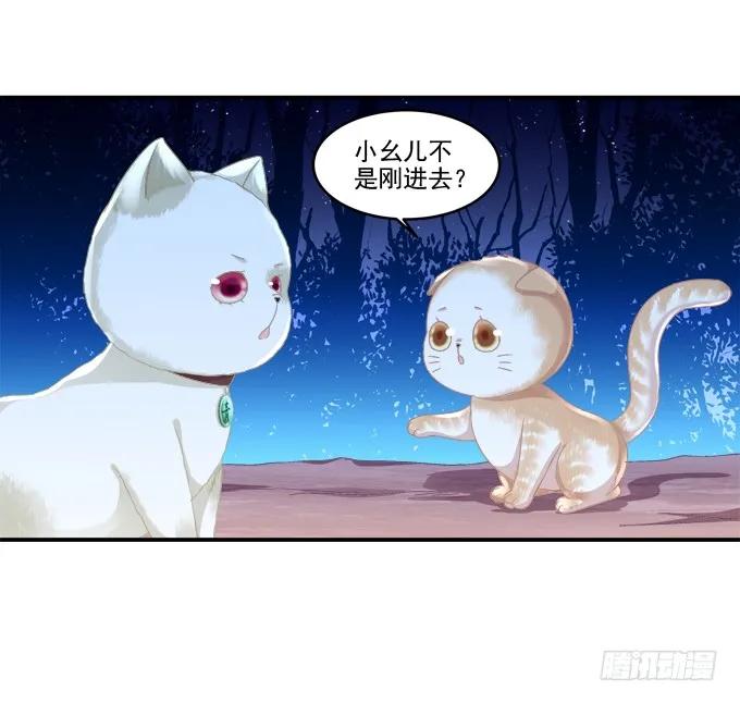 《猫妖的诱惑》乔装潜入 第27页