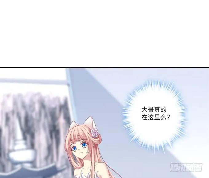 《猫妖的诱惑》兄妹相遇 第12页