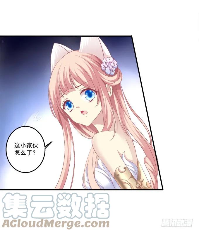 《猫妖的诱惑》兄妹相遇 第46页