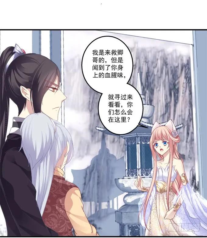 《猫妖的诱惑》兄妹相遇 第18页