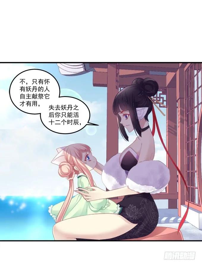 《猫妖的诱惑》刨丹救卿 第17页