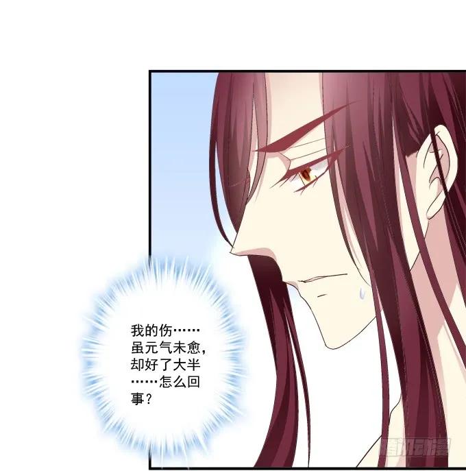 《猫妖的诱惑》为你心疼 第42页
