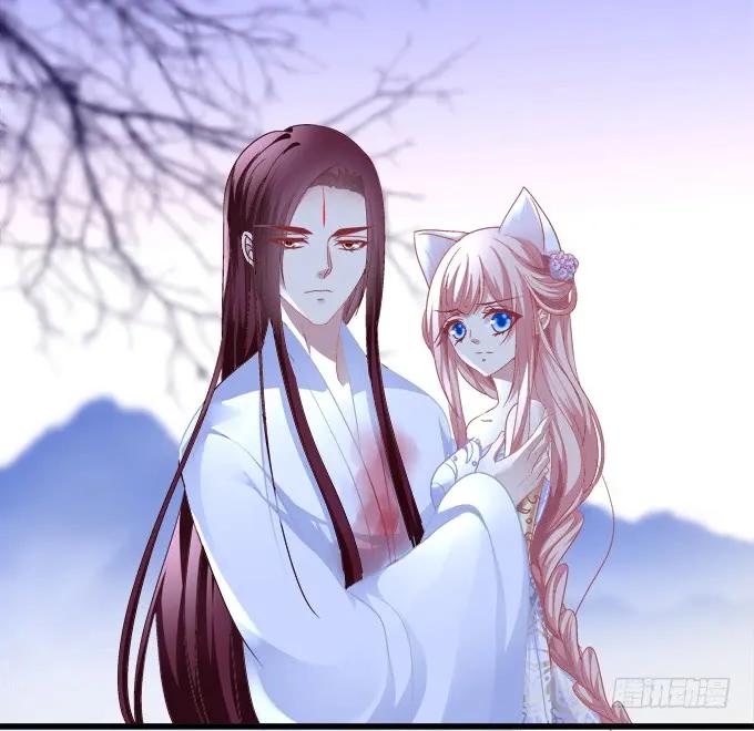 《猫妖的诱惑》为你心疼 第45页