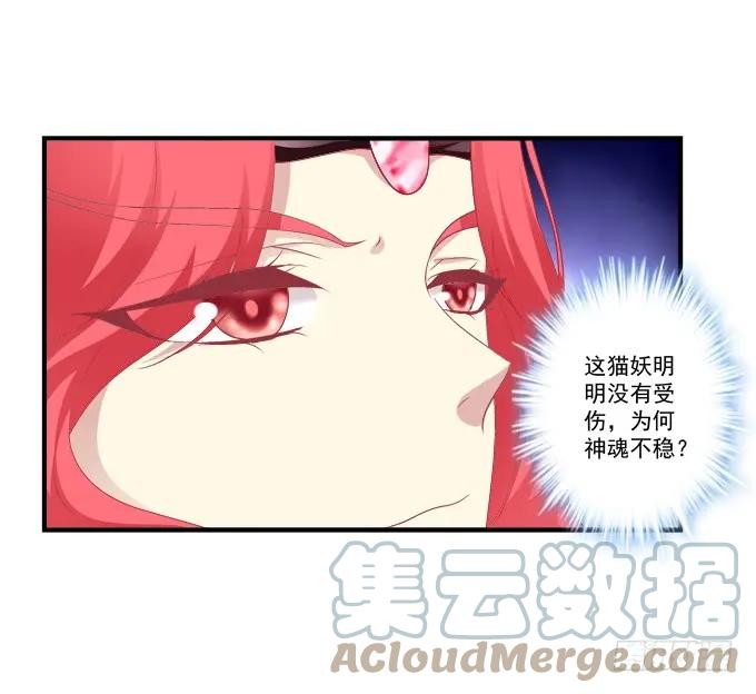《猫妖的诱惑》一死一生 第22页