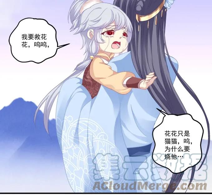 《猫妖的诱惑》一死一生 第52页