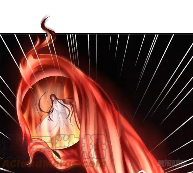 《猫妖的诱惑》一死一生 第40页