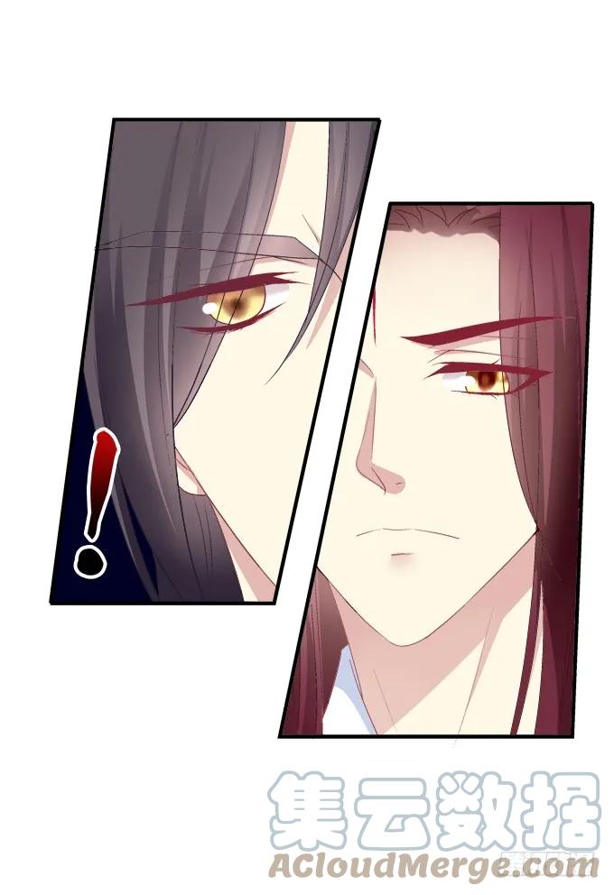 《猫妖的诱惑》一死一生 第34页