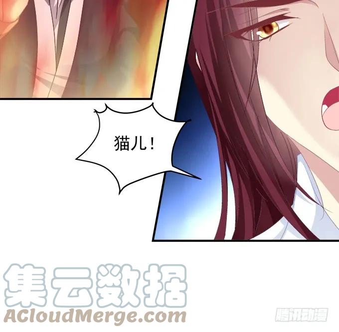 《猫妖的诱惑》宁折不弯 第16页