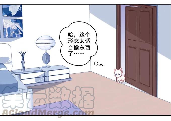 《猫妖的诱惑》她是我的！ 第4页