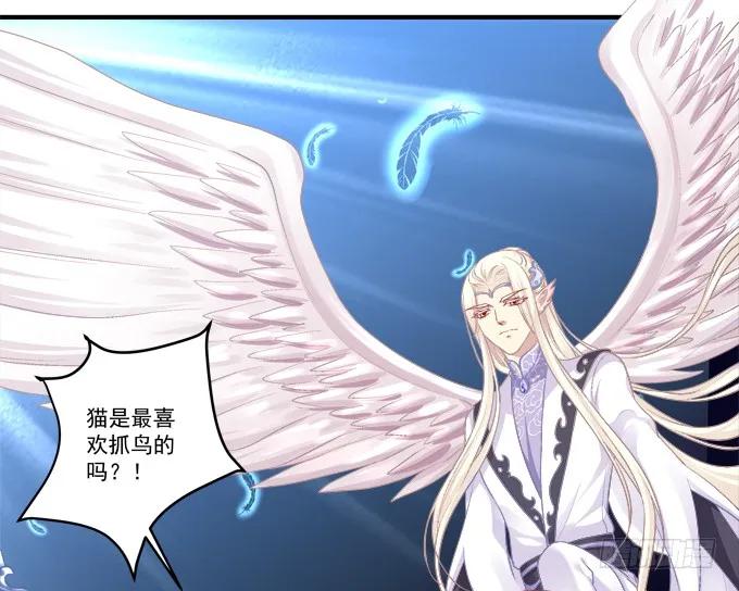 《猫妖的诱惑》并肩作战 第44页
