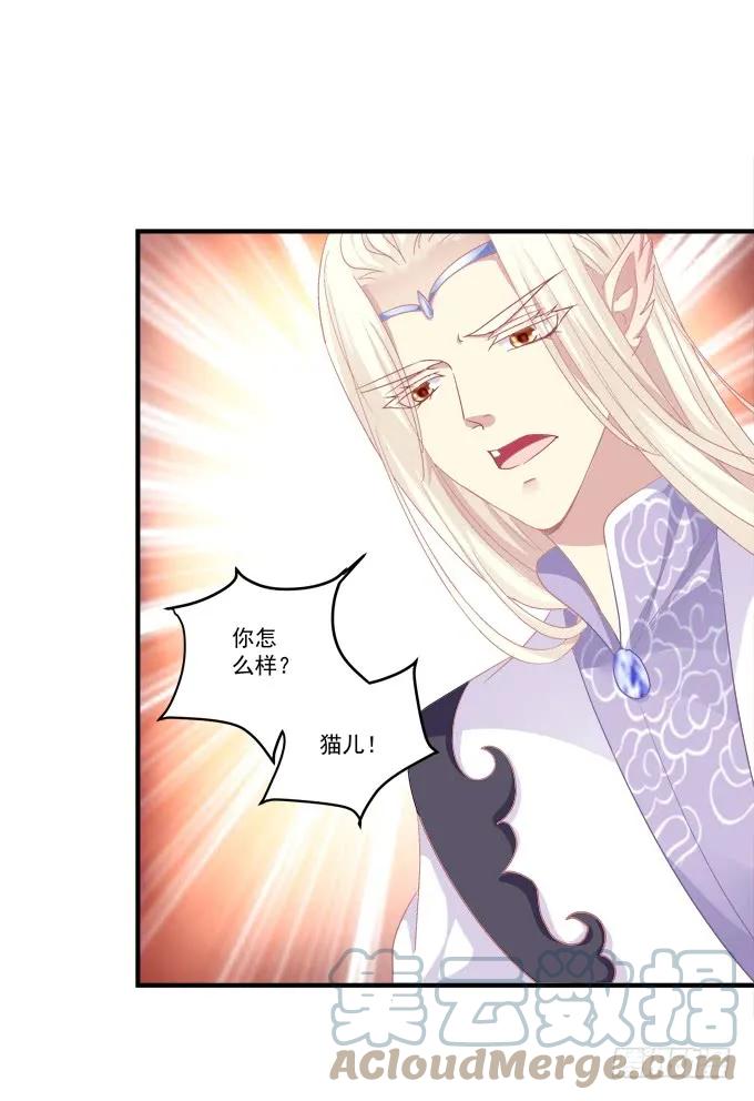 《猫妖的诱惑》死而后生 第16页