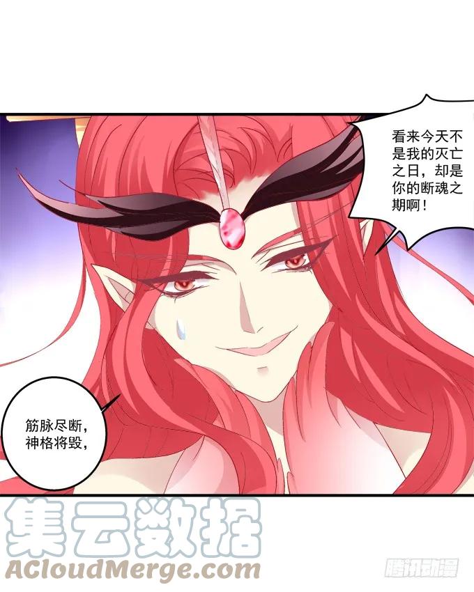 《猫妖的诱惑》戮力同心 第43页