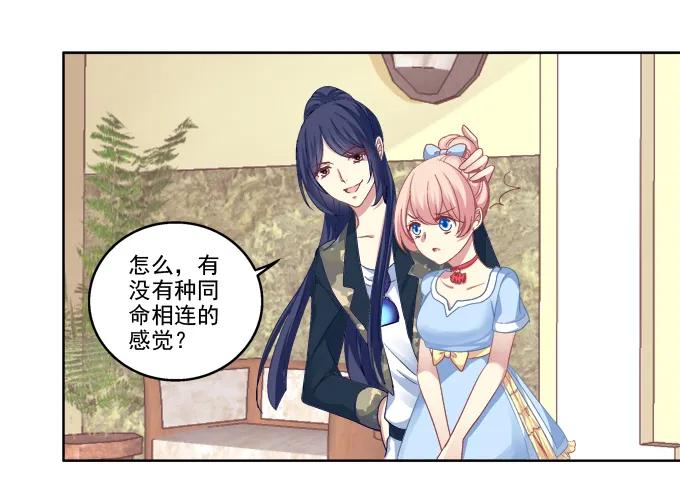 《猫妖的诱惑》我只会卖萌？ 第11页