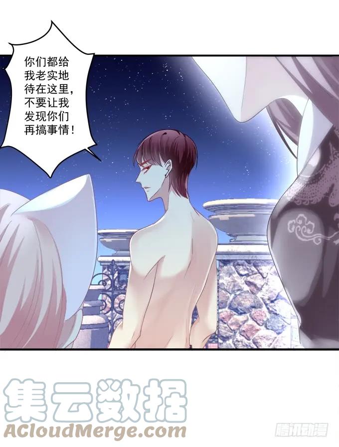 《猫妖的诱惑》是去是留 第13页