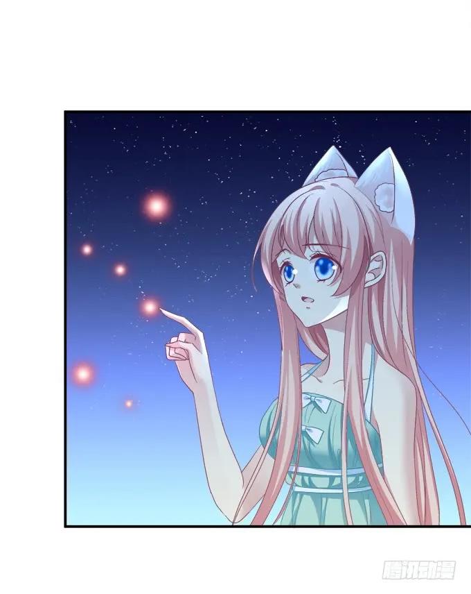 《猫妖的诱惑》是去是留 第15页