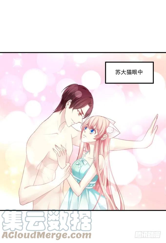 《猫妖的诱惑》是去是留 第40页