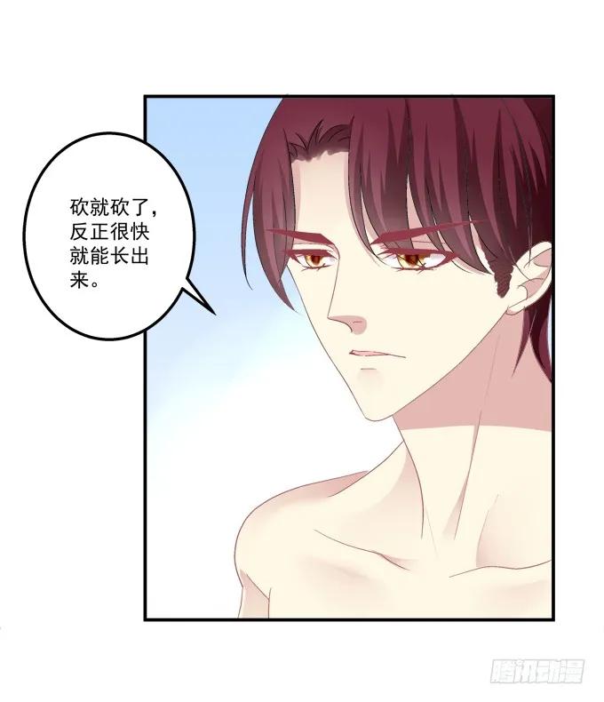 《猫妖的诱惑》是去是留 第9页