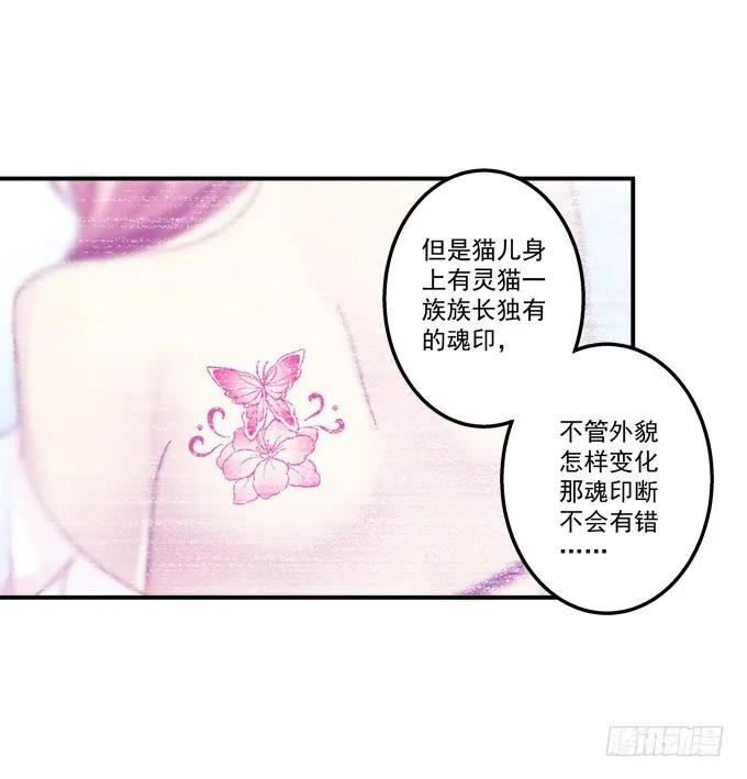 《猫妖的诱惑》放弃等待 第33页