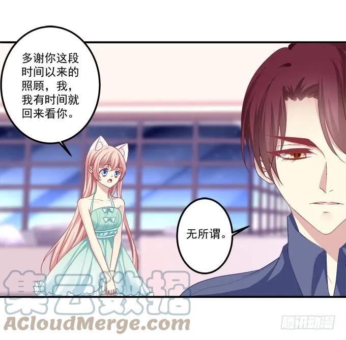 《猫妖的诱惑》放弃等待 第19页
