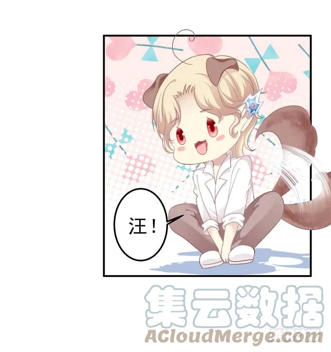 《猫妖的诱惑》放弃等待 第28页