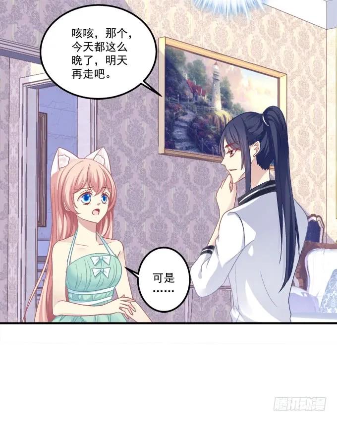 《猫妖的诱惑》沆瀣一气 第38页